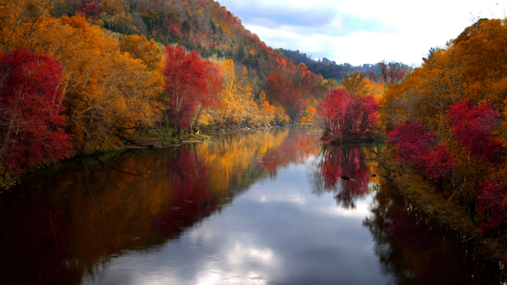 RN river fall 1