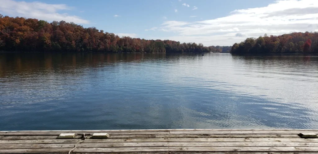 view from Pine Harbor Marina scaled 1