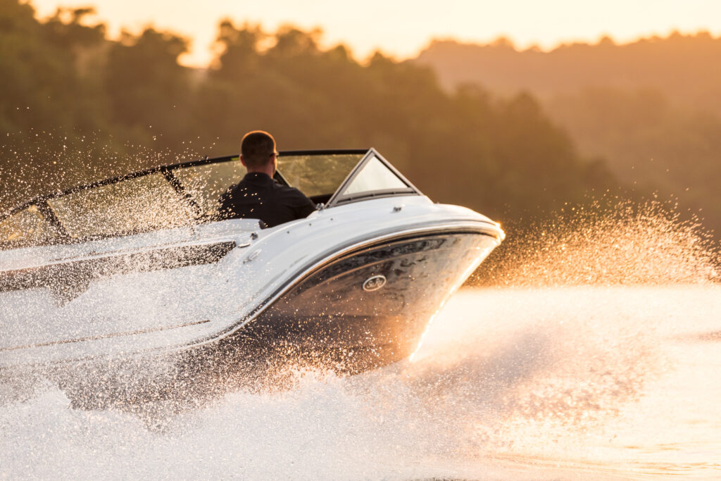 an example of the beauty of searay boats