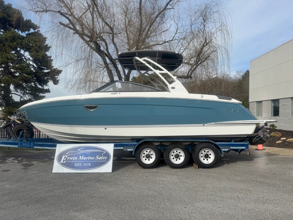 Facetune 24 02 2026 15 45 51