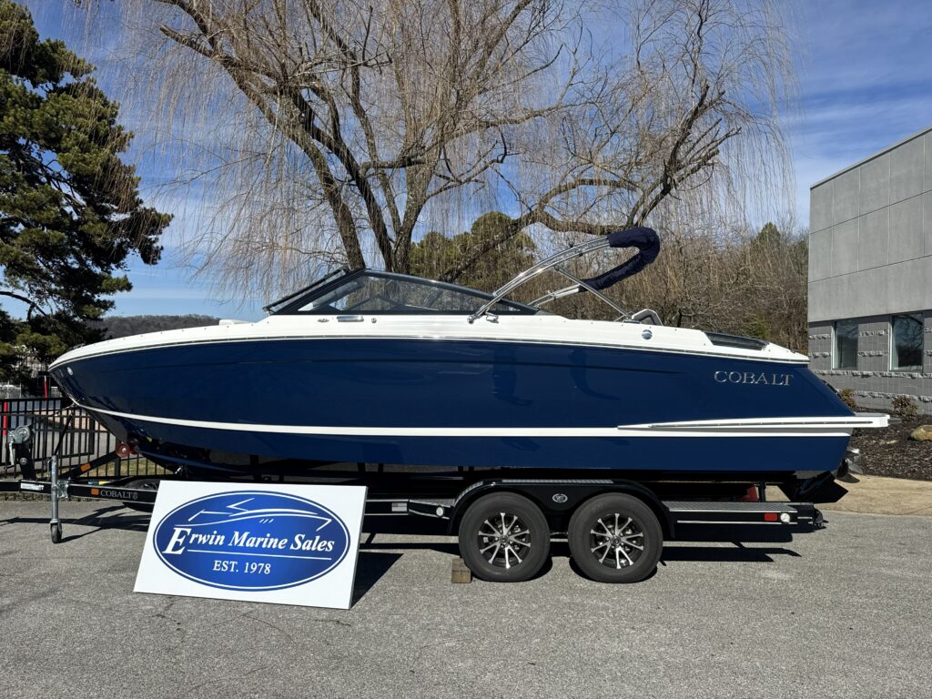 IMG 5206 2026 Cobalt R4